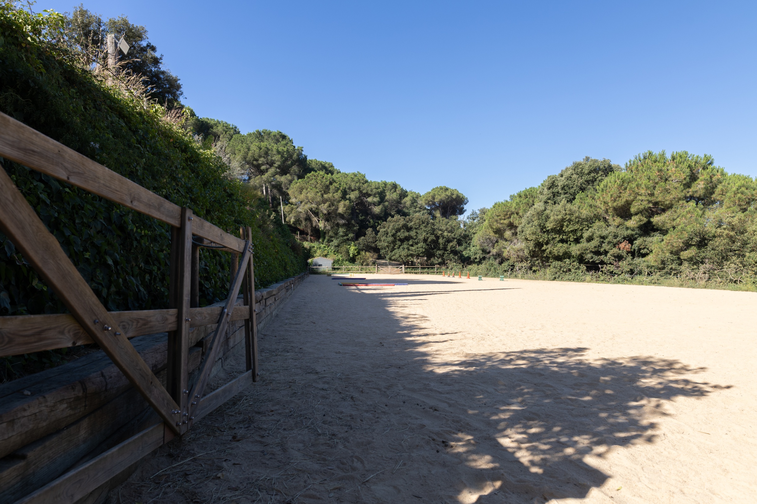 Arène de sable entourée de pins, au centre équestre Horseway près de Barcelone